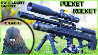 Pocket Rocked  FX Wildcat MK3 BT Compact  21gr Slugs  Pigeon Hunting  Airgun Pest Control [upl. by Enirahtac]