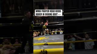 MMA Fighter KNOCKS OUT Boxer With Head Kick in BOXING MATCH [upl. by Paul]