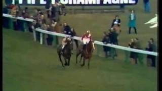 Captain Christy The 1974 Cheltenham Gold Cup [upl. by Suhploda454]