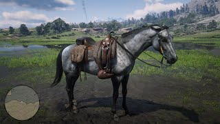 Red Dead Redemption 2 How To Get The Turkoman Gold  Dark Bay And Silver Horse [upl. by O'Donoghue]