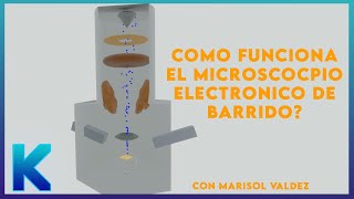 Microscopio electrónico de barrido MEB Como funciona [upl. by Psyche]