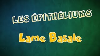 Le Tissu épithélial Épithéliums  la Lame Basale [upl. by Enorel]