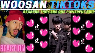 WOOSAN TIKTOKS because that is one powerful ship  WOOSAN EDITS  REACTION [upl. by Rambert]