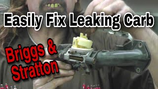 HowTo fix a leaking Briggs carburetor the complete guide [upl. by Ajit]