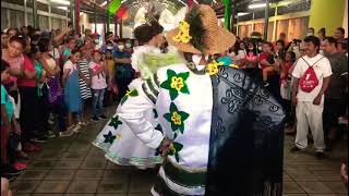 quot Rinconada Monimboseñaquot Baile de Negras [upl. by Yajnas]