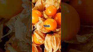 Discover the Health Benefits of Cape Gooseberries [upl. by Esmond]