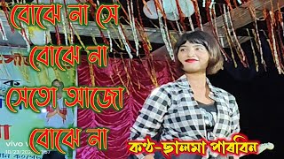 bojena she bojena ajo keno bojenaবোঝেনা সে বোঝেনা। আজো কেনো বোঝেনা।Bangla viral song Salma Parbin [upl. by Ephrayim]