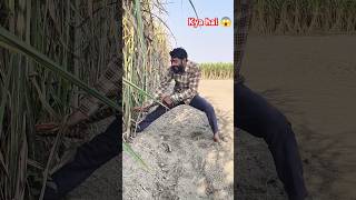 Short funny comedy video 🤣😱trending viralreels love shortvideo comedy funny shorts news [upl. by Stoughton]