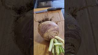 First time tasting Rutabaga Swede Raw and cooked homegrown cooking [upl. by Tsugua302]