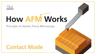 Contact Mode  How AFM Works  Principle of Atomic Force Microscopy [upl. by Cad]