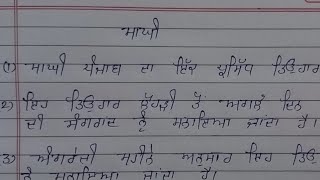 10 lines on maghi in punjabiਮਾਘੀ ਦਾ ਲੇਖ 10 ਲਾਈਨ Maghi Festival 10 line essay in punjabiMaghi lekh [upl. by Asirehc]