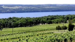 On the Road to Worldclass Rieslings in the Finger Lakes Official Full Length Version [upl. by Karel]