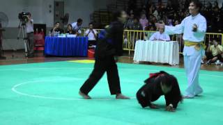 1st Asian Pencak Silat Championship [upl. by Ayal650]