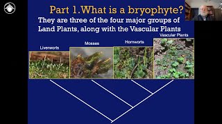 Bryophytes Module 1 What is a bryophyte [upl. by Dowell]