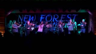 Pirates of the Caribbean Feast Of Fiddles New Forest Folk Festival 2016 [upl. by Mailand]