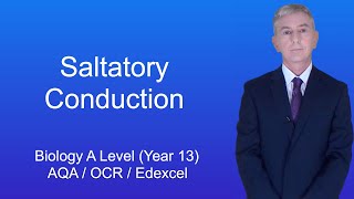 A Level Biology Revision Year 13 quotSaltatory Conductionquot [upl. by Eilerua]