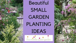 Small garden planting ideasplants for narrow or small gardens [upl. by Ymmak]