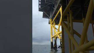 Fishing the Rampion Offshore Substation brighton lurefishing [upl. by Fermin]