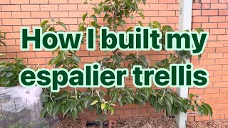 Grow LOADS OF FRUIT in a backyard Part 2  building a trellis for espalier [upl. by Eram]