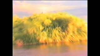 Sunset on the Congo River Cormorants during Fishing Lualaba Kisale Lake Nov 15 1985 by HbS [upl. by Ysus]