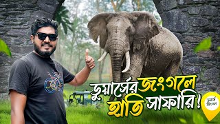 ডুয়ার্সের জঙ্গলে হাতি সাফারি এবং কার সাফারি  Jaldapara Forest  Buxa Forest  Dooars Tour Budget [upl. by Hazlett]