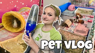 DEEP CLEANING PET ROOM PET UPDATES amp MORE 🧹🐾 PET VLOG [upl. by Eelta]