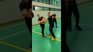 ✊ Cross Arms nel Lat Sao Wing Chun [upl. by Nireil]