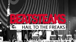 Beatsteaks  Hail to the Freaks Official Video [upl. by Ainotahs]