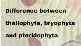 Difference between thallophyta bryophyta and pteridophyta [upl. by Mohandis]