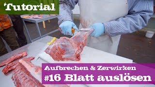 16 Blatt auslösen  Schwarzwild  Lehrgang Aufbrechen amp Zerwirken [upl. by Aihtibat975]