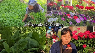 Organic Gardening In USATori Ko Saag TipdaiJasna Jastina Helping MommyJenna Shrestha Garden [upl. by Linnea]