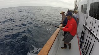 Freedom Sportfishing  Jul 31 2015  Offshore Tanner Banks [upl. by Assirek]