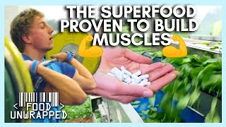 The Best Natural Steroid To Grow Muscles 💪 fitness gym muscle [upl. by Ynohtnaed]