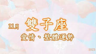 💞11月雙子座愛情、整體運勢 風象星座 [upl. by Solita]