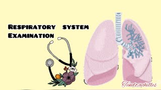 Respiratory system examination From front amp BackeasiestMBBS students [upl. by Allecram]