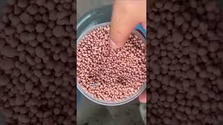 npk 16 16 8 fertilizer for plants [upl. by Cleave450]