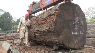 Amazing Biggest Wood Sawmill Machine Working  Sawmill Factory With Big Logs [upl. by Reifel832]