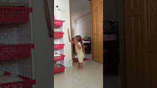 Baby break everything funny lovemusic cutebaby jabir [upl. by Bink98]