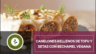 CANELONES RELLENOS DE SETAS Y BECHAMEL VEGANA [upl. by Aik57]