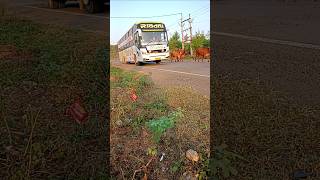 Driver rejo khabardar automobile highway driving bus luxury road highway drive driver [upl. by Jahn]