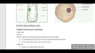 Ciliated cells [upl. by Aicinet]