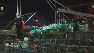 Lobster season in Nova Scotia off to a slow start for some [upl. by Ijnek]