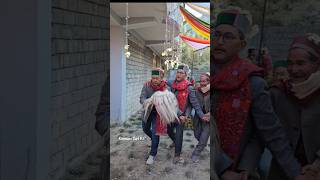 Kinnauri Kayang Kedar Nath Negi Loctus Weds Pinky Negi Pysore Kinnauri cultureshorts Subscribe 👍 [upl. by Portugal]