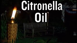 How to Use Citronella Oil [upl. by Innus]