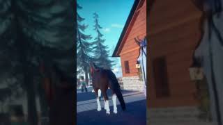 DAY 2 VLOG MAS barn tourft HorseValleyLoverOffical [upl. by Suoilenroc]