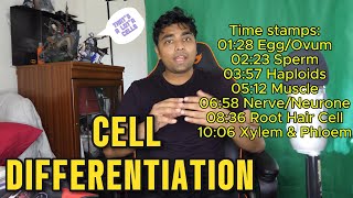 SPECIALISED CELLS Best Lesson Ever gcse cells cellbiology mrroshan [upl. by Crist510]