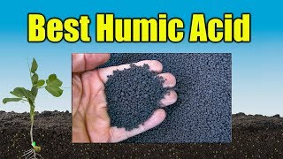 Humic Acid for Lawns [upl. by Leinehtan]