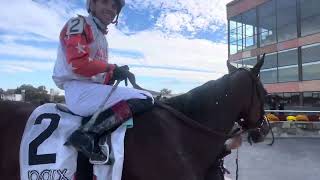 Make that an incredible 4 wins for jockey Mychel Sanchez who rode This Run’s For You [upl. by Brass163]