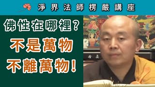 佛性在哪裡？ 不是萬物 不離萬物！  淨界法師《楞嚴經》講座 [upl. by Aillij]