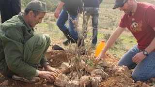 Consejos para plantar árboles en zonas áridas [upl. by Garnett]